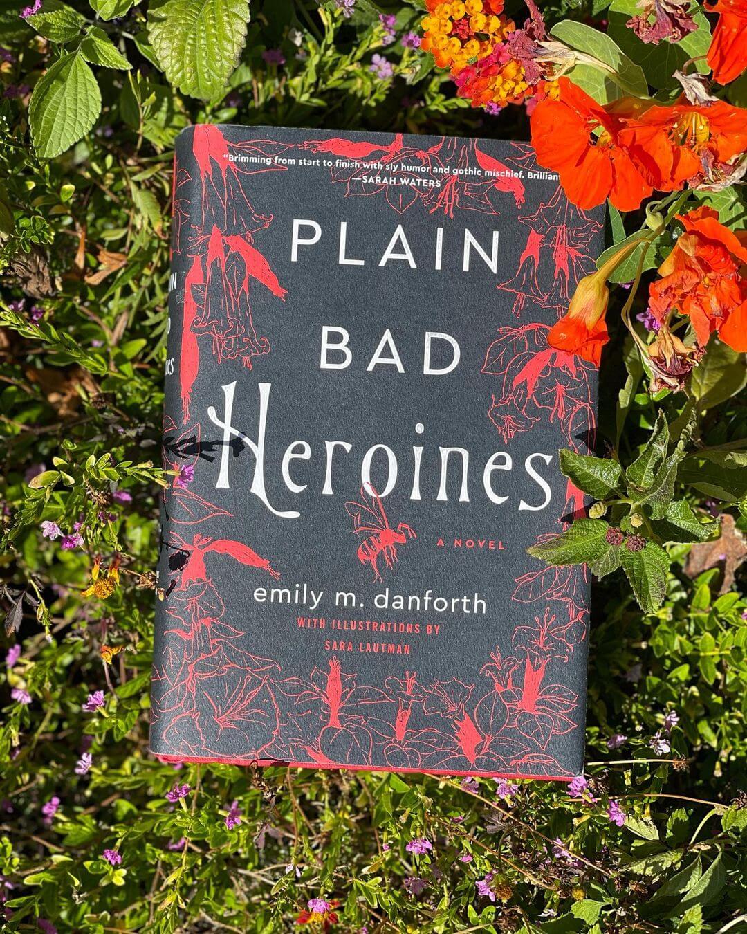 plain, bad heroines by emily m danforth