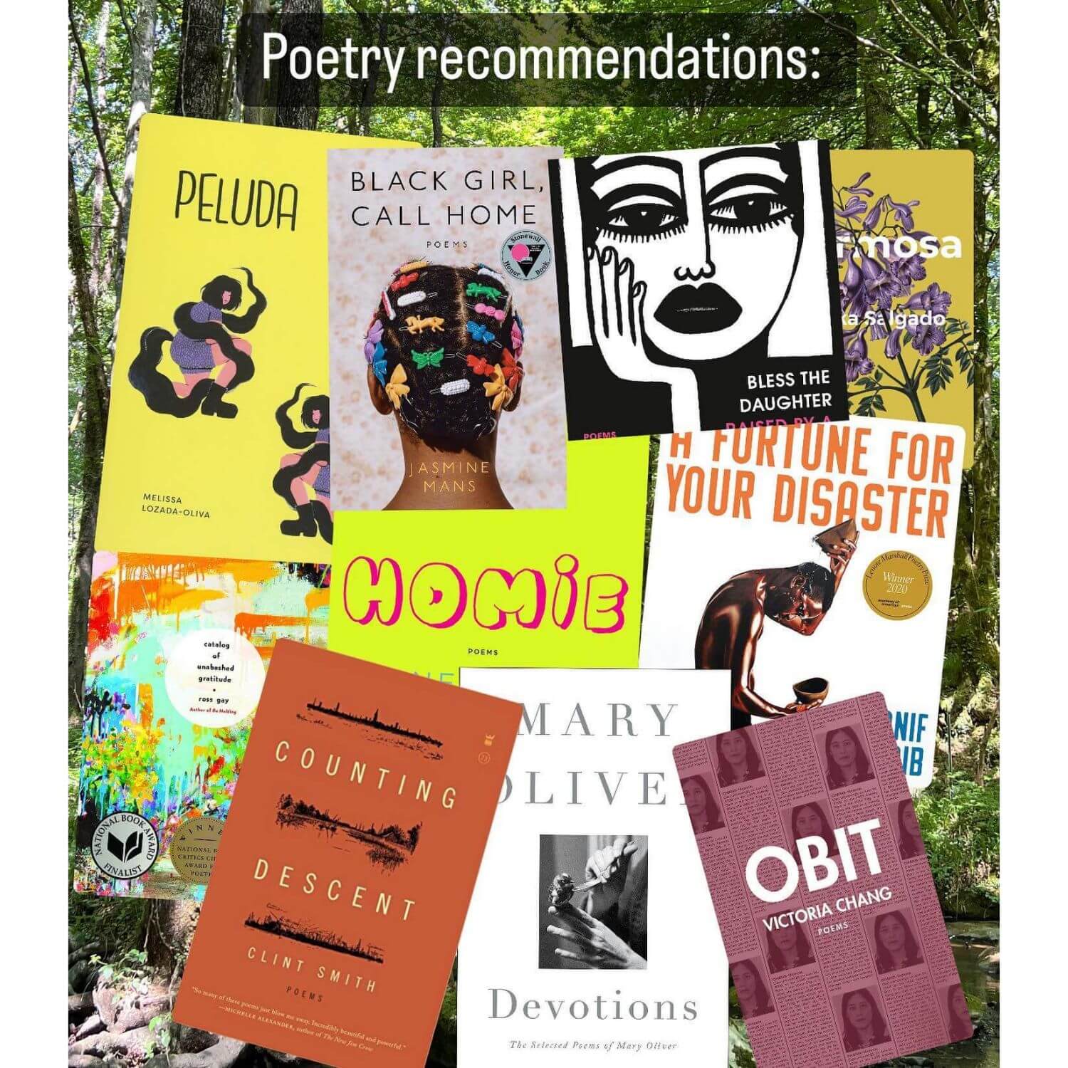 Poetry Recommendations